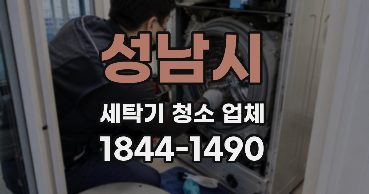 성남시 세탁기 청소 업체