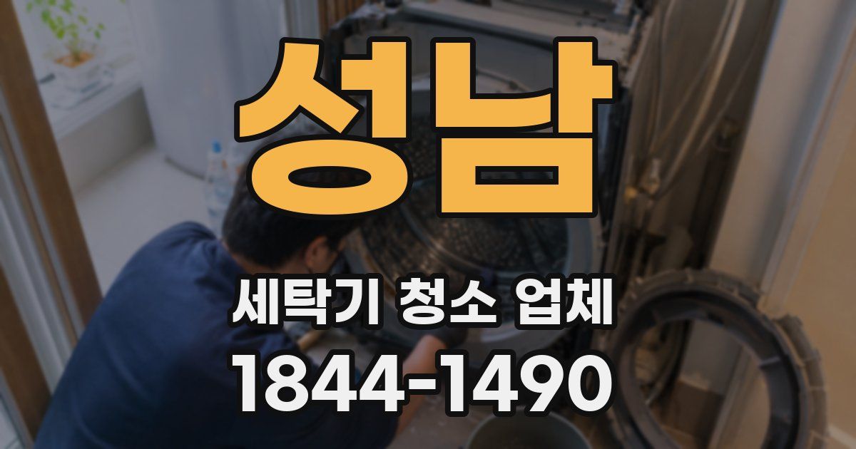 성남 세탁기 청소 업체