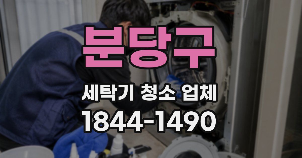 분당구 세탁기 청소 업체