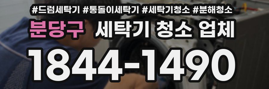 분당구 세탁기 청소 업체