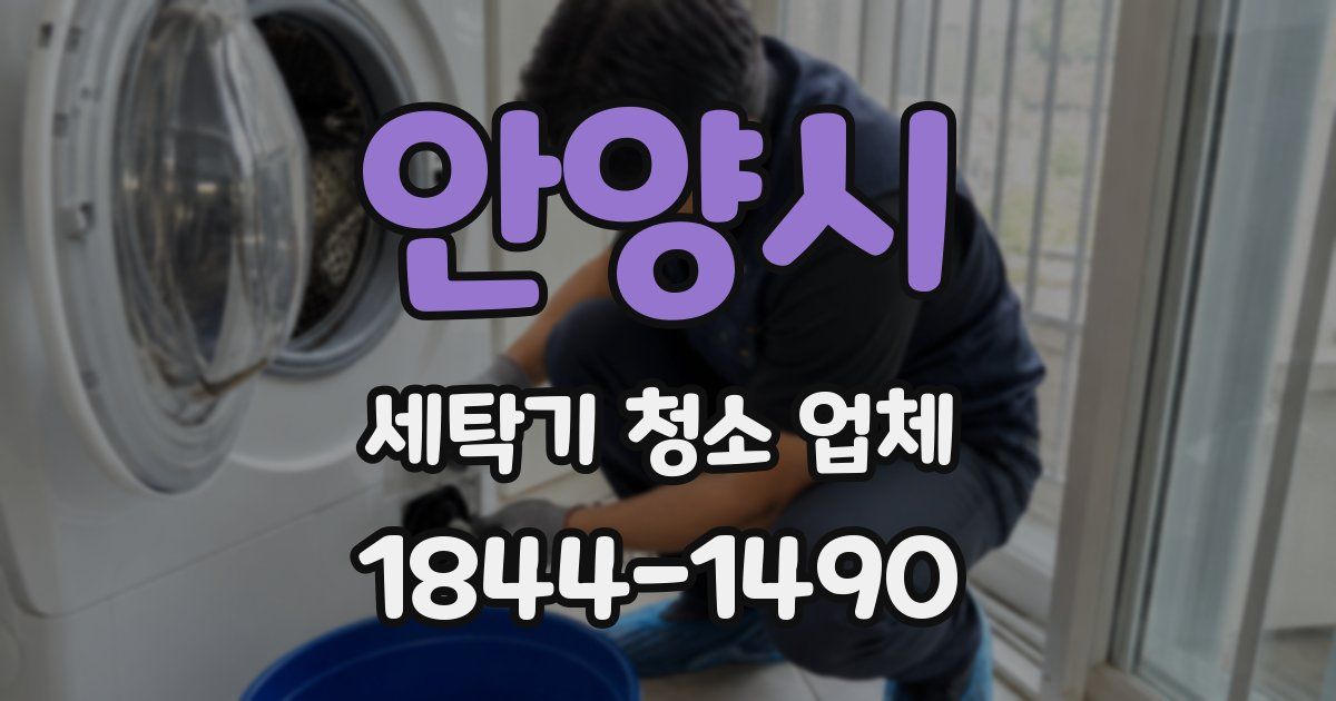 안양시 세탁기 청소 업체