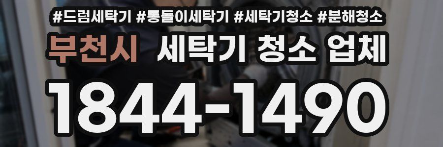 부천시 세탁기 청소 업체
