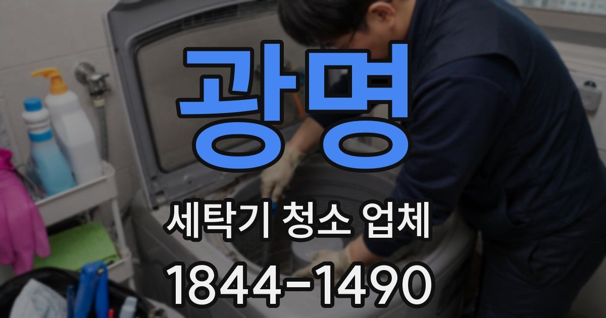광명 세탁기 청소 업체