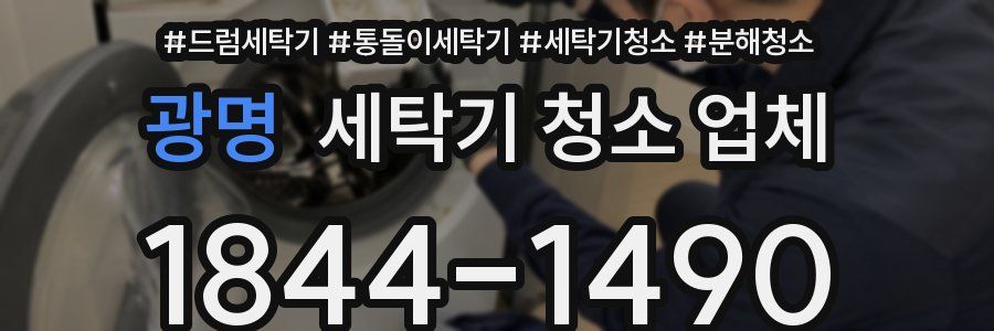 광명 세탁기 청소 업체