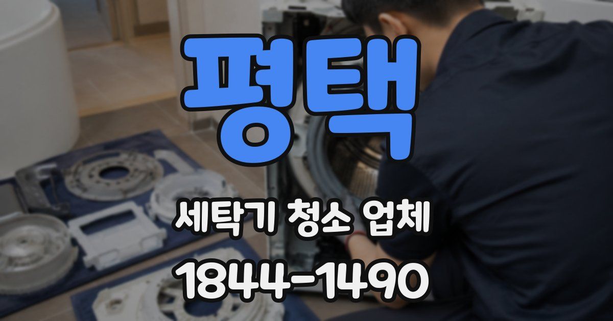 평택 세탁기 청소 업체