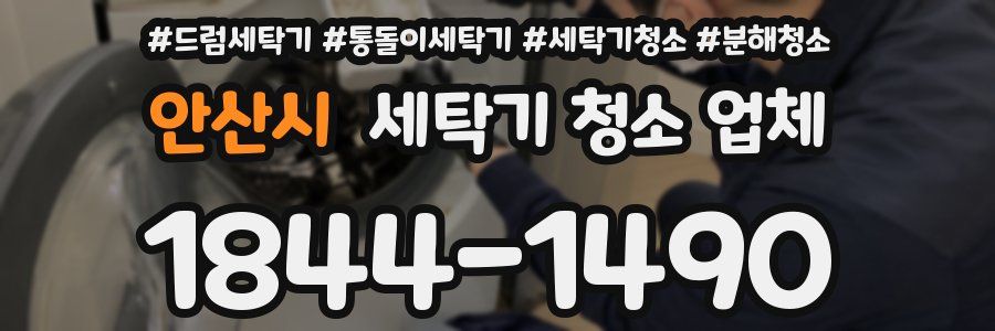 안산시 세탁기 청소 업체