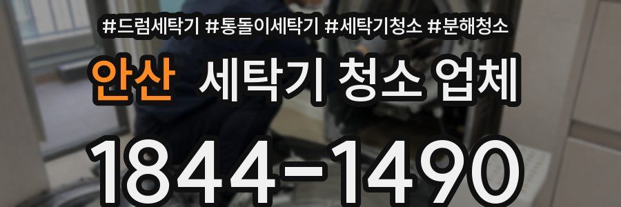 안산 세탁기 청소 업체
