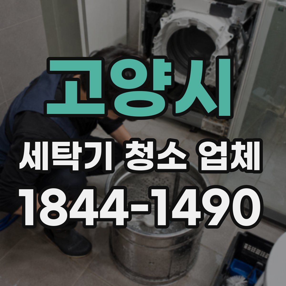 고양시 세탁기 청소 업체