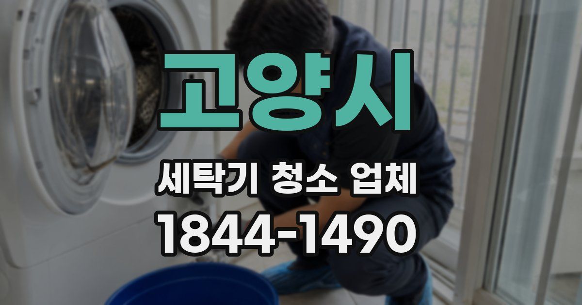 고양시 세탁기 청소 업체