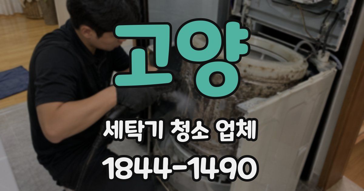 고양 세탁기 청소 업체