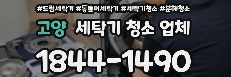 고양 세탁기 청소 업체