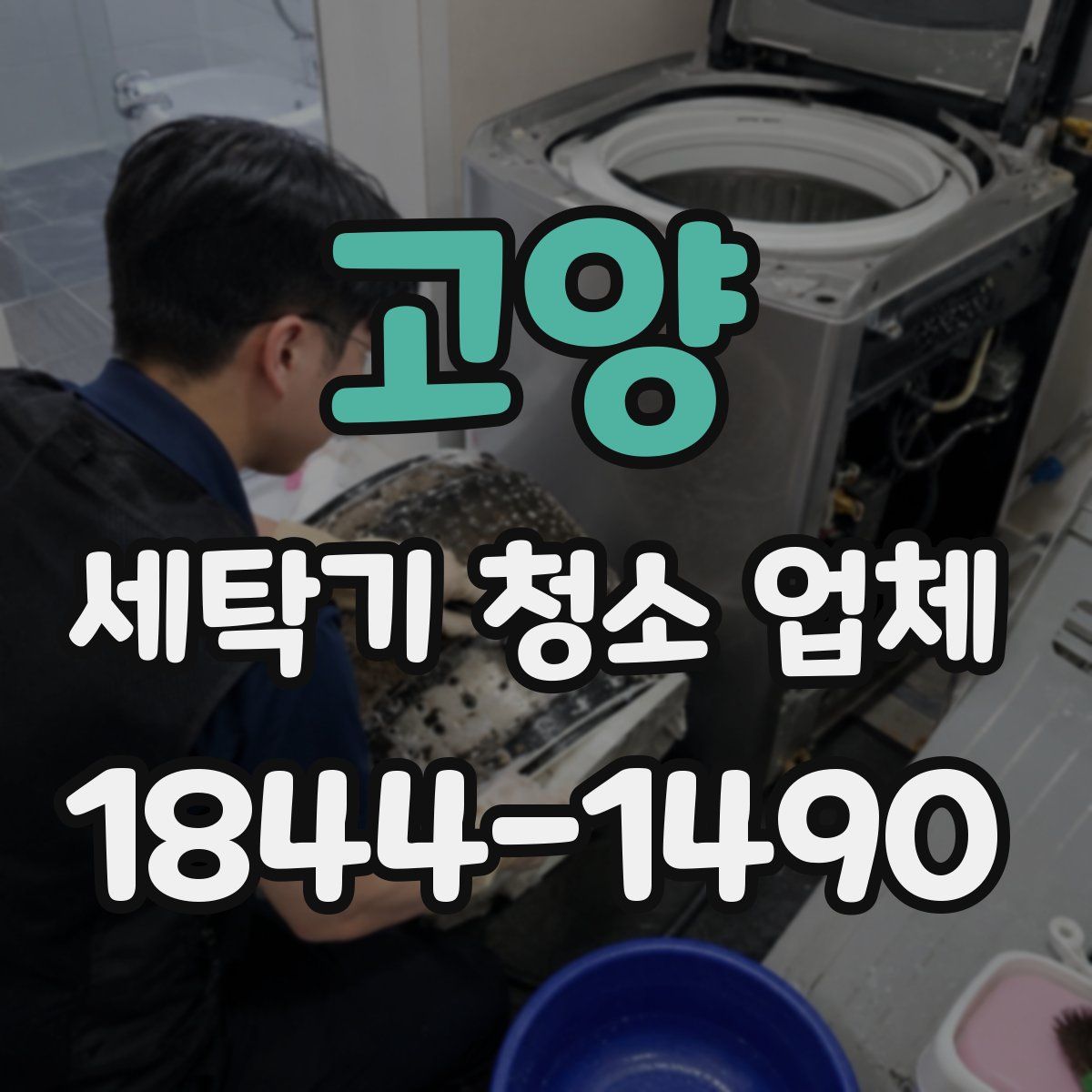 고양 세탁기 청소 업체