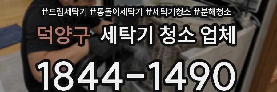 덕양구 세탁기 청소 업체