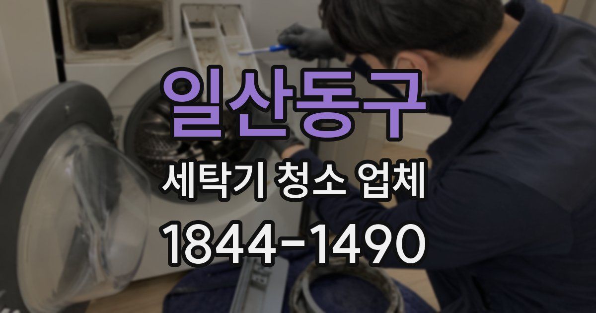 일산동구 세탁기 청소 업체
