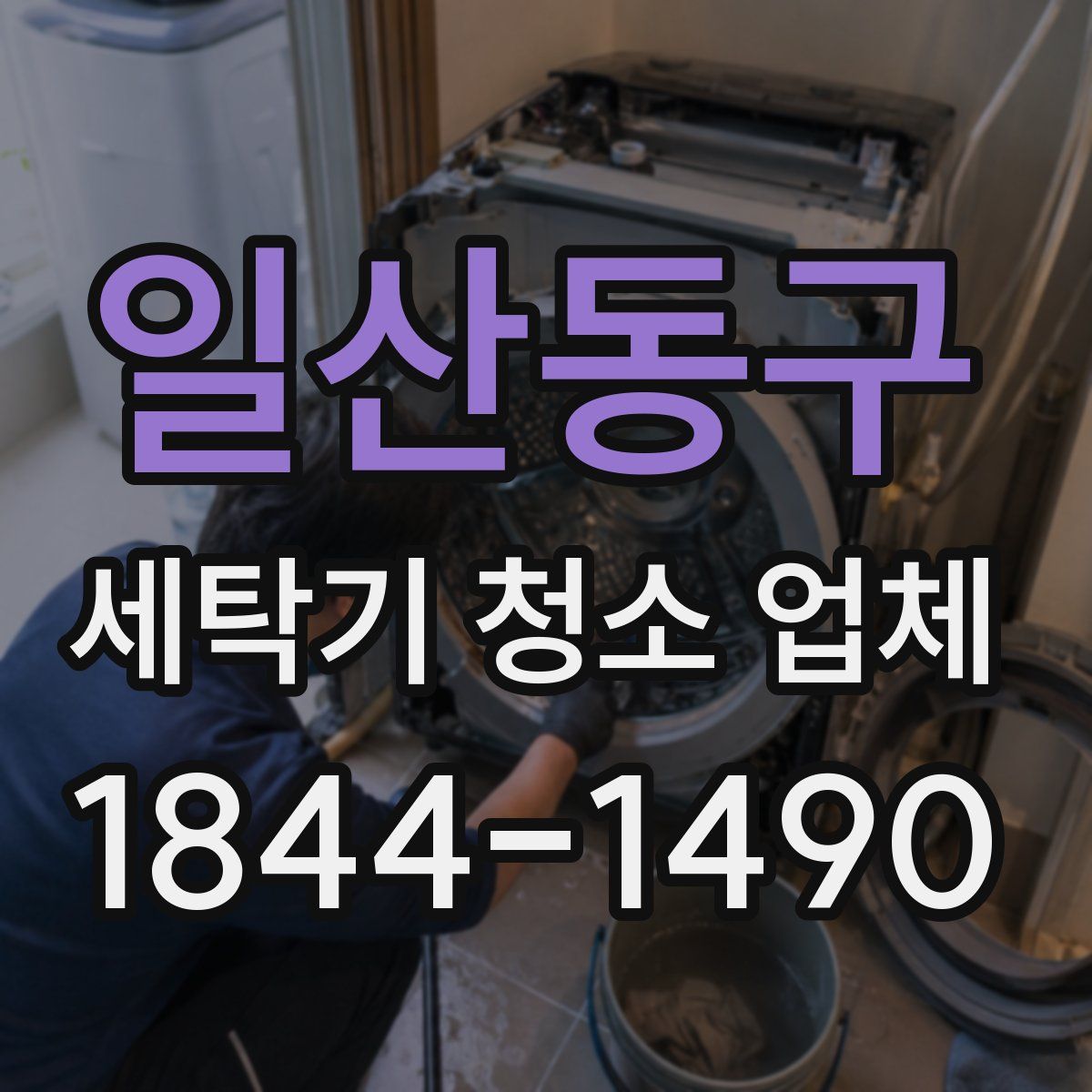 일산동구 세탁기 청소 업체