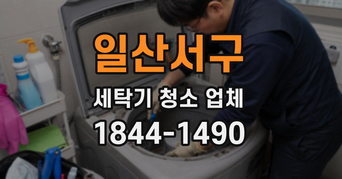 일산서구 세탁기 청소 업체