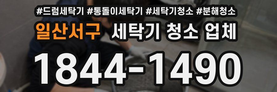 일산서구 세탁기 청소 업체