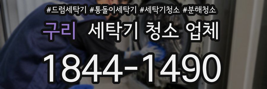 구리 세탁기 청소 업체