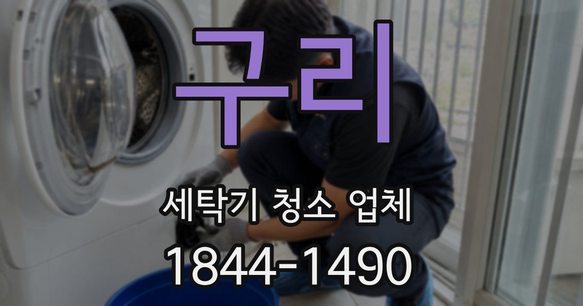 구리 세탁기 청소 업체