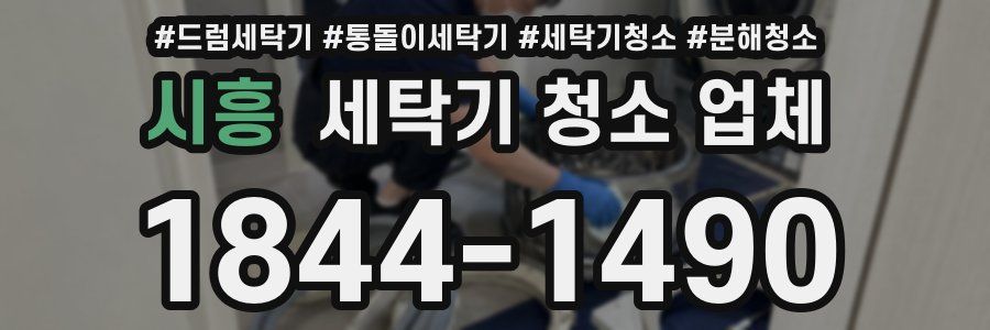 시흥 세탁기 청소 업체