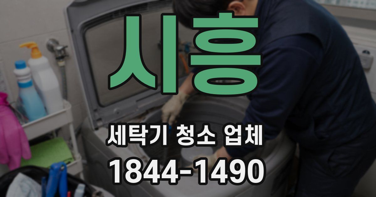 시흥 세탁기 청소 업체