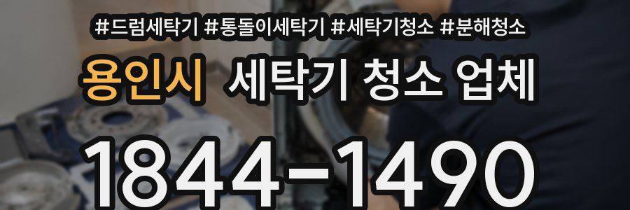 용인시 세탁기 청소 업체