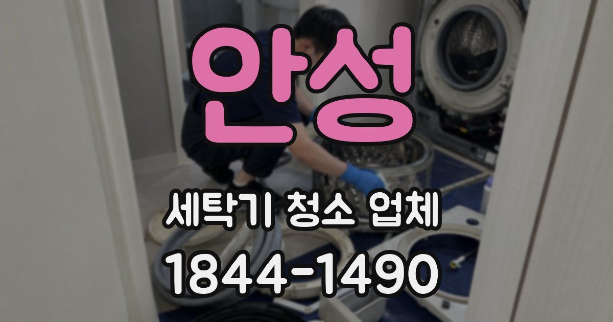 안성 세탁기 청소 업체