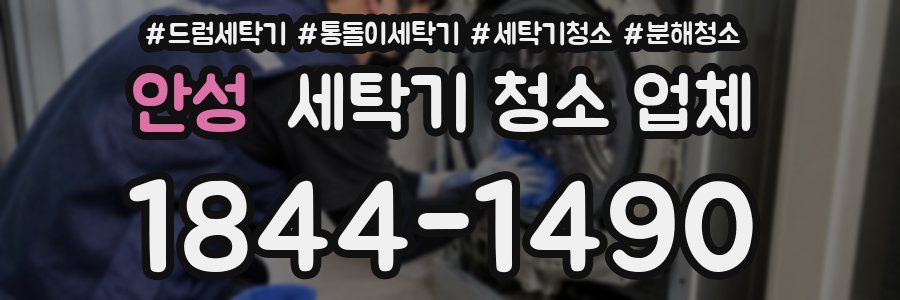 안성 세탁기 청소 업체