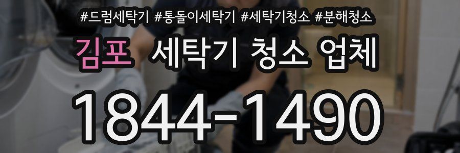 김포 세탁기 청소 업체