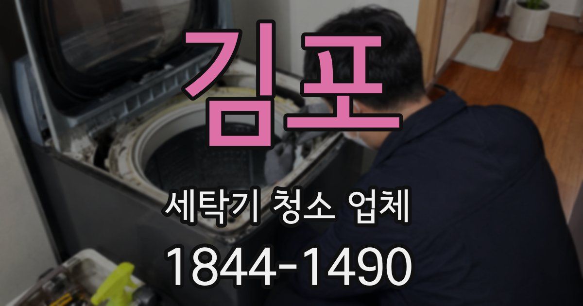 김포 세탁기 청소 업체