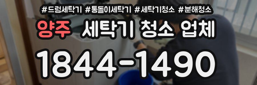 양주 세탁기 청소 업체