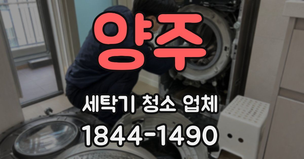 양주 세탁기 청소 업체