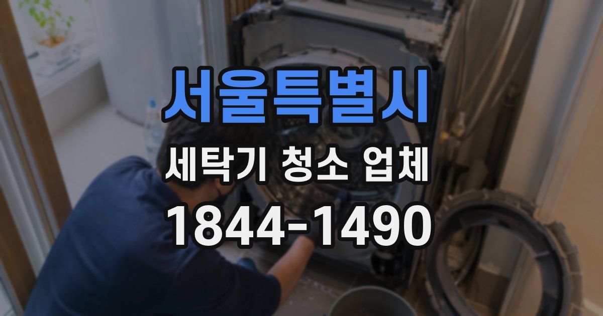 서울특별시 세탁기 청소 업체