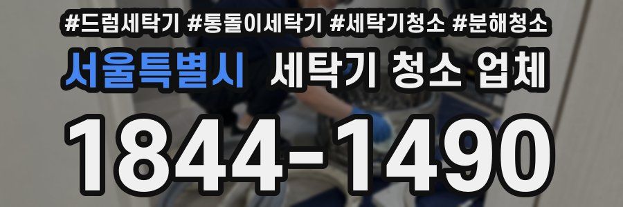 서울특별시 세탁기 청소 업체