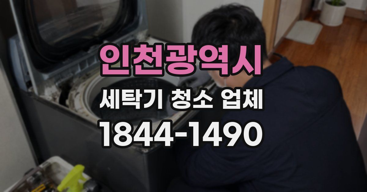 인천광역시 세탁기 청소 업체