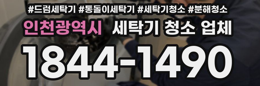 인천광역시 세탁기 청소 업체