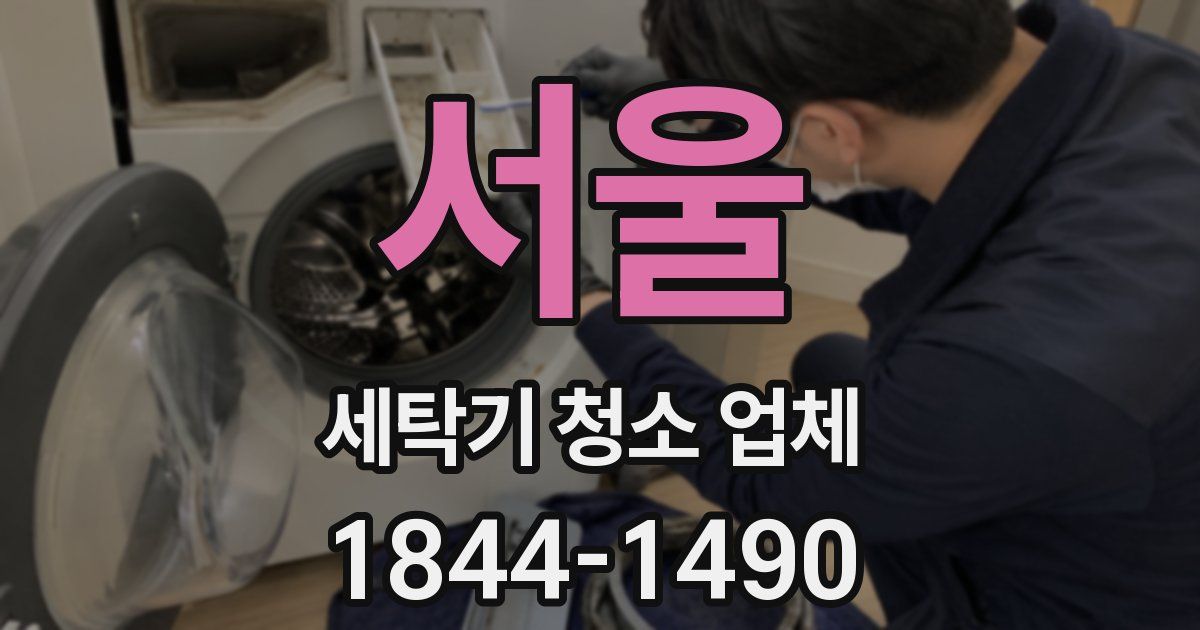 서울 세탁기 청소 업체