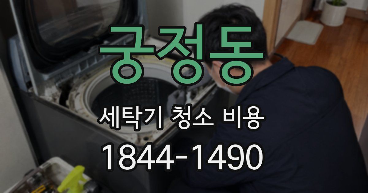궁정동 세탁기 청소 비용