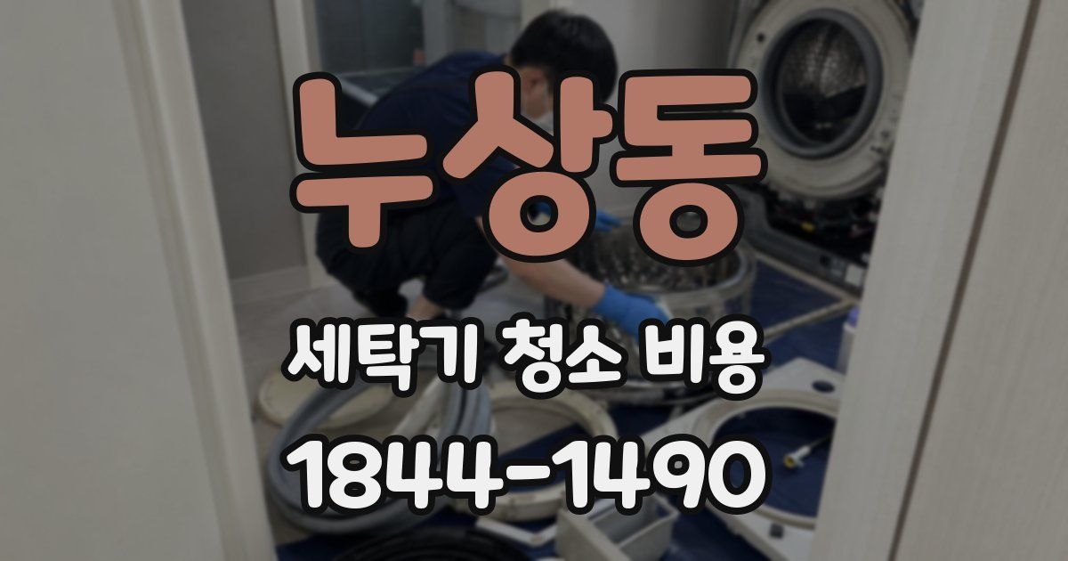 누상동 세탁기 청소 비용