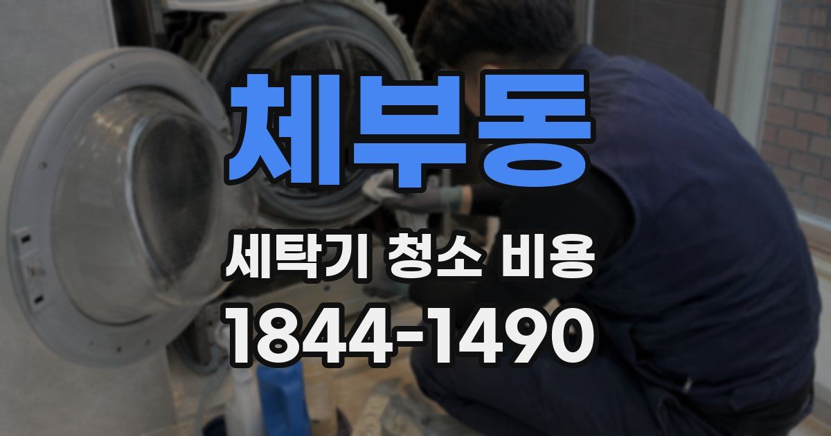체부동 세탁기 청소 비용