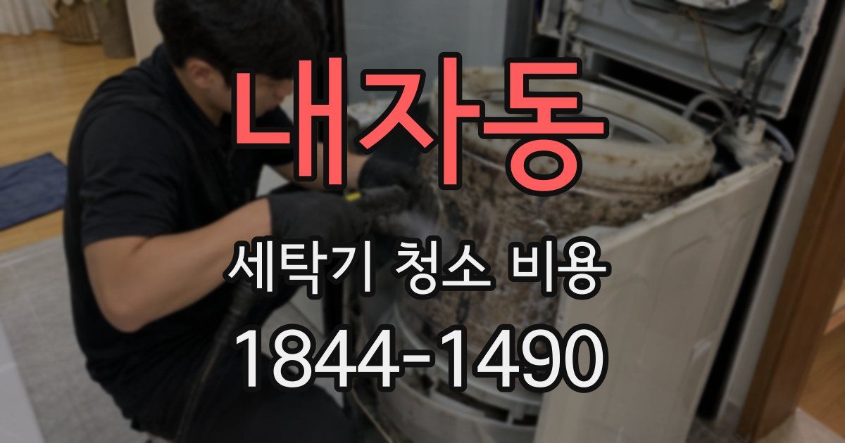 내자동 세탁기 청소 비용