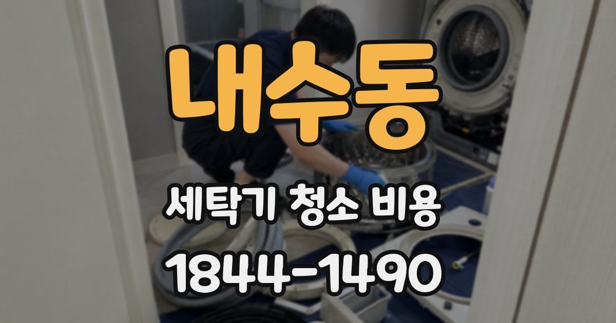 내수동 세탁기 청소 비용