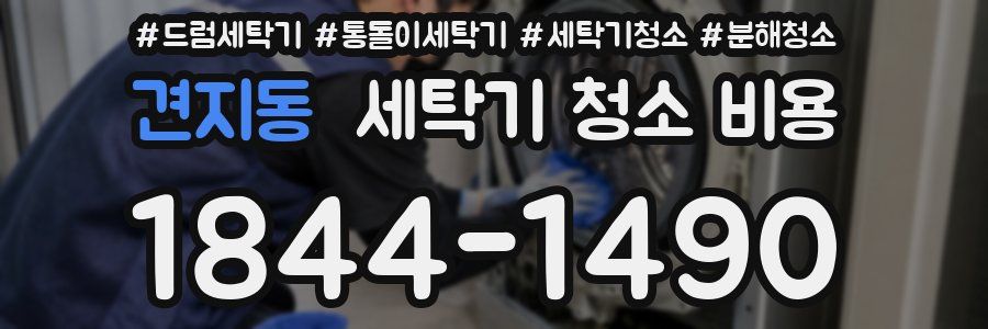 견지동 세탁기 청소 비용