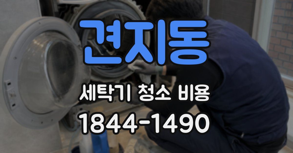 견지동 세탁기 청소 비용