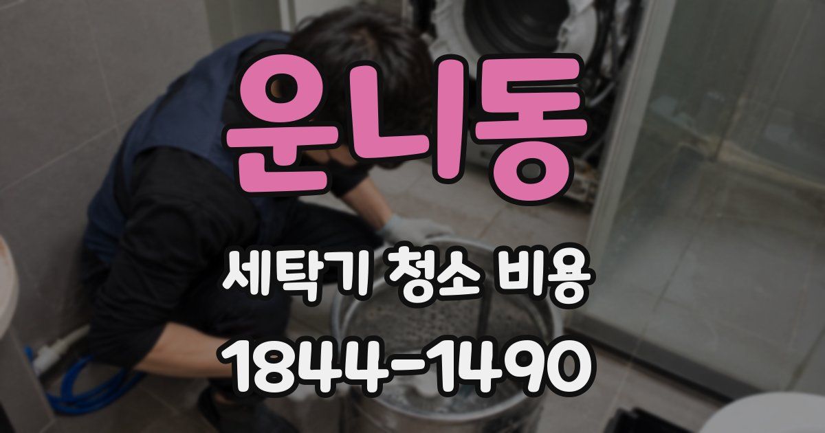 운니동 세탁기 청소 비용