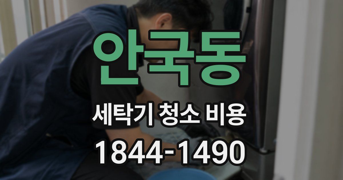 안국동 세탁기 청소 비용