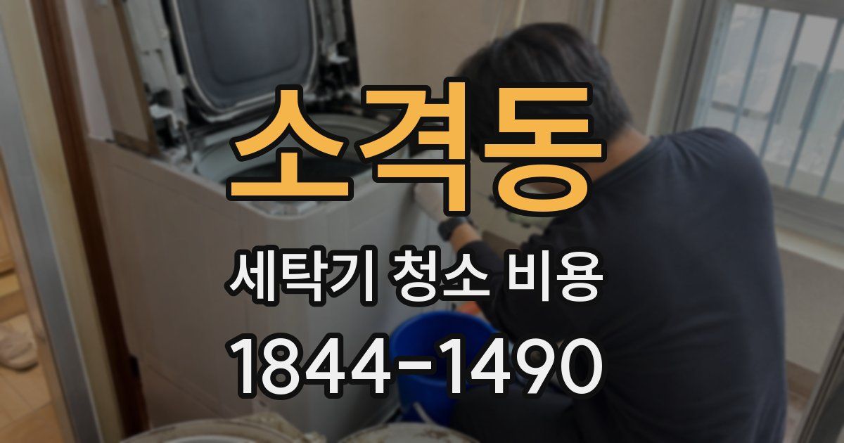 소격동 세탁기 청소 비용