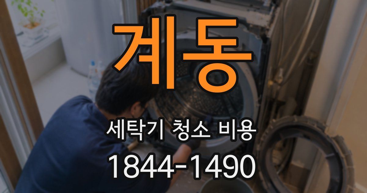 계동 세탁기 청소 비용