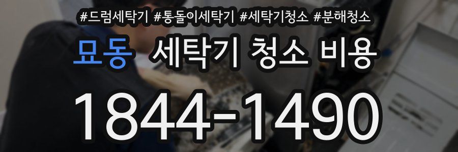 묘동 세탁기 청소 비용