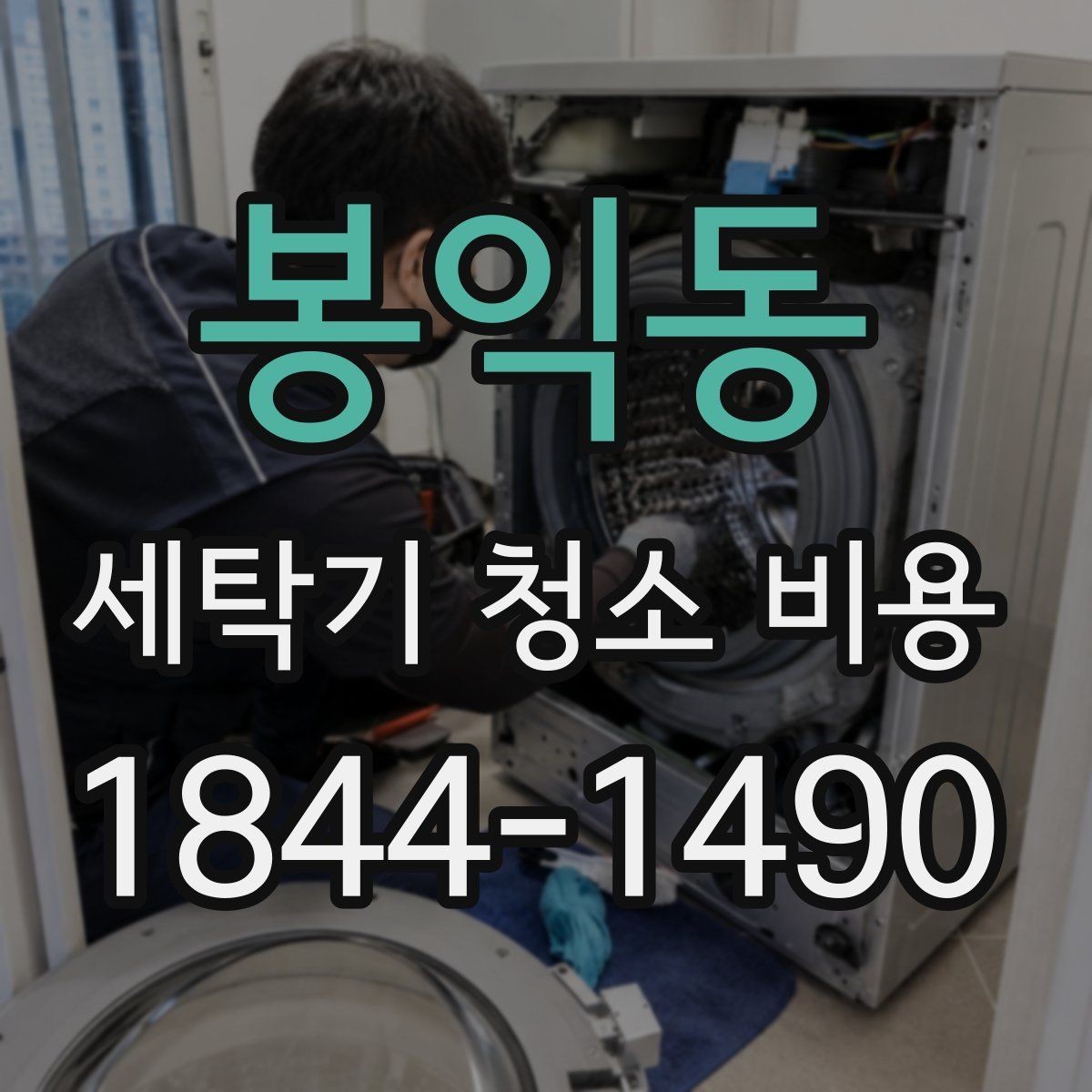 봉익동 세탁기 청소 비용 내부 곰팡이 제거가 필요한 경우